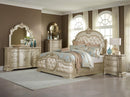 Antoinetta Mirror in Champagne Wood 1919NC-6 - Ace Furniture and Decor
