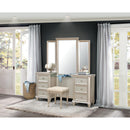 Celandine Vanity Dresser with Mirror in Silver 1928-15* - Ace Furniture and Decor