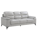Mischa Sofa in Silver Gray 9514SVE-3 - Ace Furniture and Decor