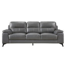 Mischa Sofa in Dark Gray 9514DGY-3 - Ace Furniture and Decor