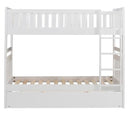 Galen Twin Trundle in White B2053W-R