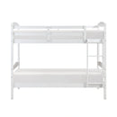 Sloane Loft Bunk Bed - Chest With 7 Drawers & Hidden Pull Out Desk