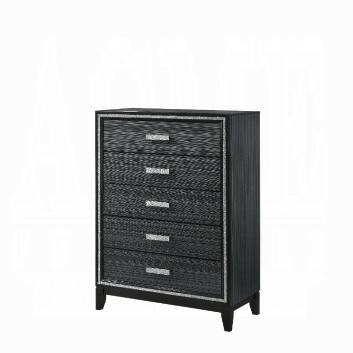 Haiden Chest - Ace Furniture and Decor