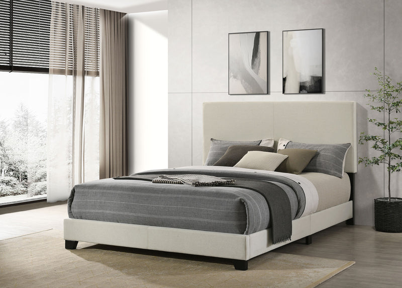 Dorian Panel Beds - Ace Furniture and Decor