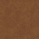 Carianna Sofa - Ace Furniture and Decor