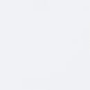 Laughlin Entertainment Center