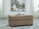 Jayne Park Ottoman - Ace Furniture and Decor