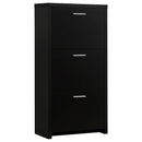 Vivian 3-drawer Shoe Cabinet Black - Ace Furniture and Decor