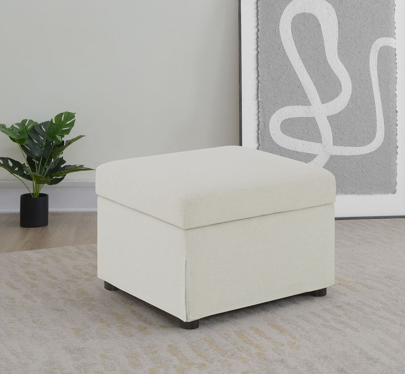 Winter Ottomans - Ace Furniture and Decor
