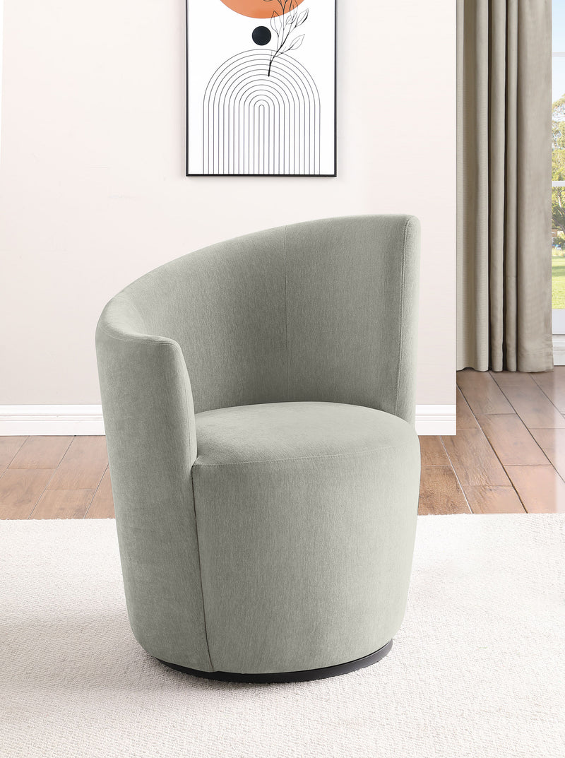 Nueva Accent Chairs - Ace Furniture and Decor