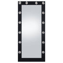 Zayan Floor Mirror with LED Lighting