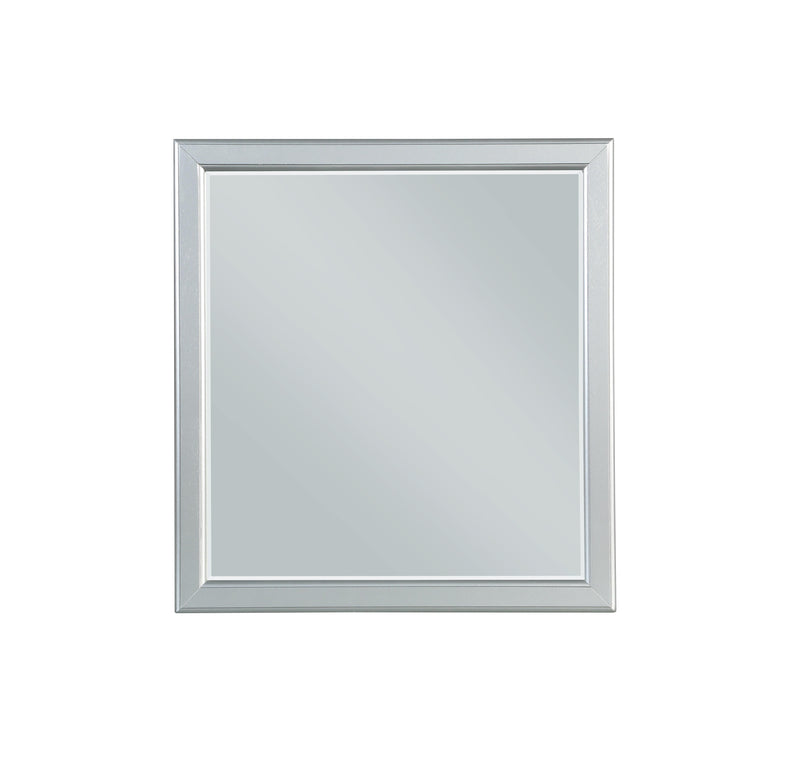 Louis Philippe Platinum Mirror - Ace Furniture and Decor