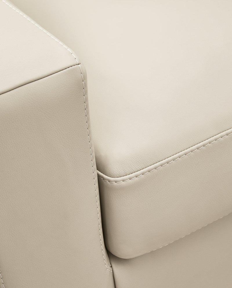 Treasure Trove Sofa - Ace Furniture and Decor