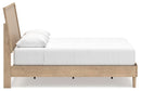 Cielden Bed - Ace Furniture and Decor
