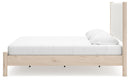Cadmori Upholstered Bed - Ace Furniture and Decor