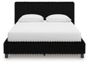 Zuraleus Bed