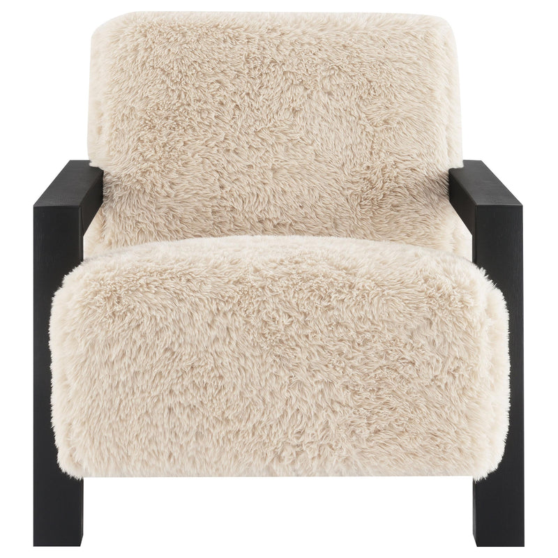 Fitzroy Accent Chairs - Ace Furniture and Decor