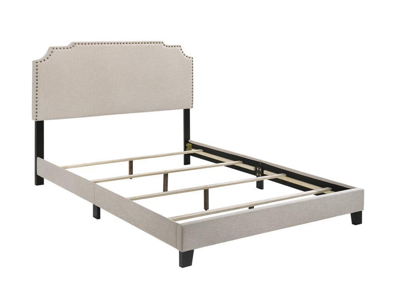 Tamarac Upholstered Nailhead Full, Eastern King & Queen Bed Beige & Grey - Ace Furniture and Decor