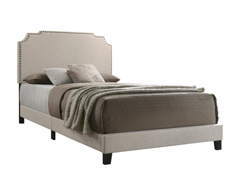 Tamarac Upholstered Nailhead Full, Eastern King & Queen Bed Beige & Grey - Ace Furniture and Decor