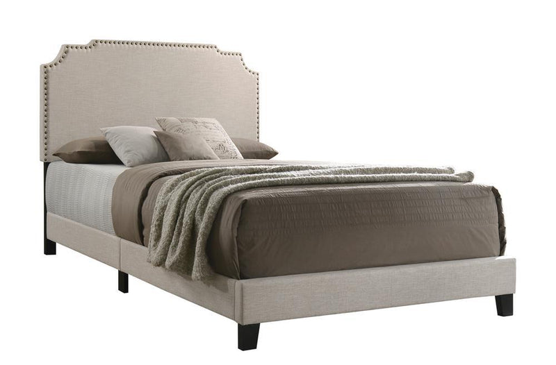 Tamarac Upholstered Nailhead Full, Eastern King & Queen Bed Beige & Grey - Ace Furniture and Decor