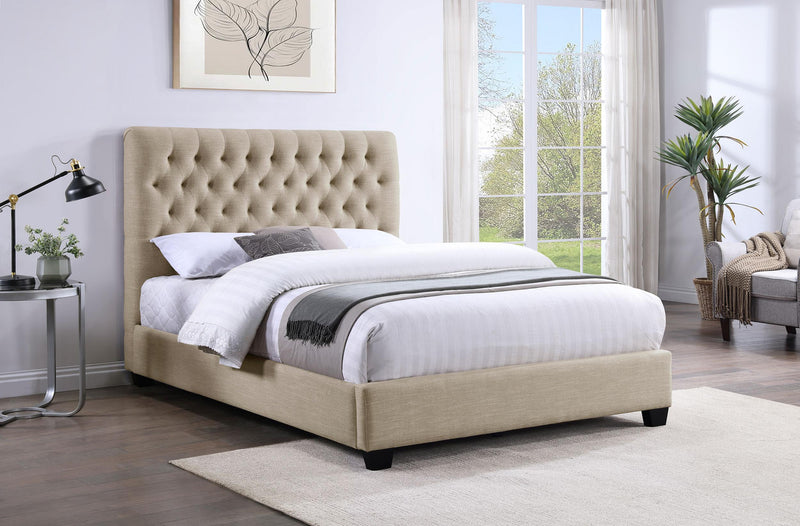 Chloe Queen Beds - Ace Furniture and Decor