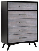 Raku 5 Drawer Chest in Gray 1711-9