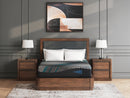 Millennium 2.0 Foam 12 Inch Mattress - Ace Furniture and Decor