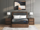 Millennium 2.0 Foam 14 Inch Mattress - Ace Furniture and Decor