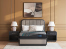 Millennium 2.0 Hybrid 14 Inch Mattress - Ace Furniture and Decor