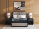 Millennium 2.0 Hybrid 16 Inch Mattress - Ace Furniture and Decor