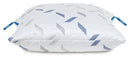Nectar Classic / Pillow - Ace Furniture and Decor