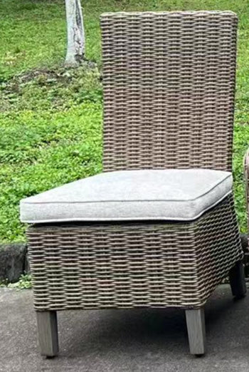 Laguna Heights Side Chair with Cushion (Set of 2) - Ace Furniture and Decor