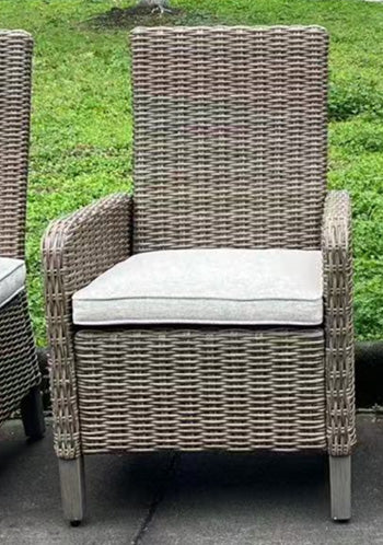 Laguna Heights Arm Chair with Cushion (Set of 2) - Ace Furniture and Decor