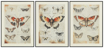 Jossletts Wall Art (Set of 3) - Ace Furniture and Decor