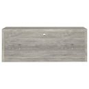 Burke Entertainment Center